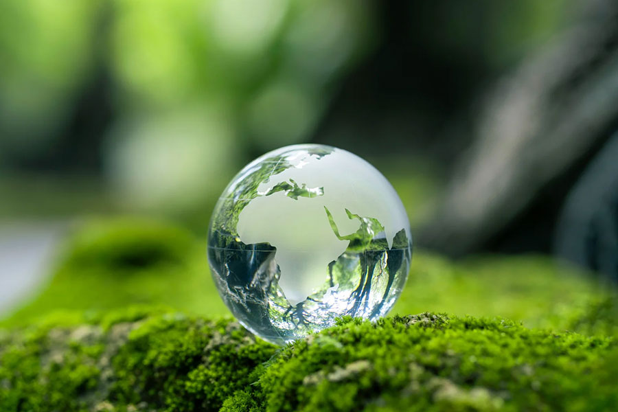 markus wolany bedürfnise grenzen energie