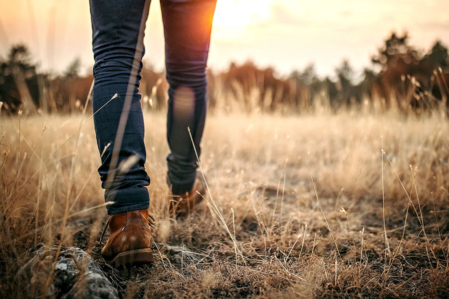 markus wolany mein weg